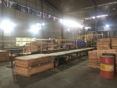 建筑模板加工流水线_广西能强优品建筑模板生产厂